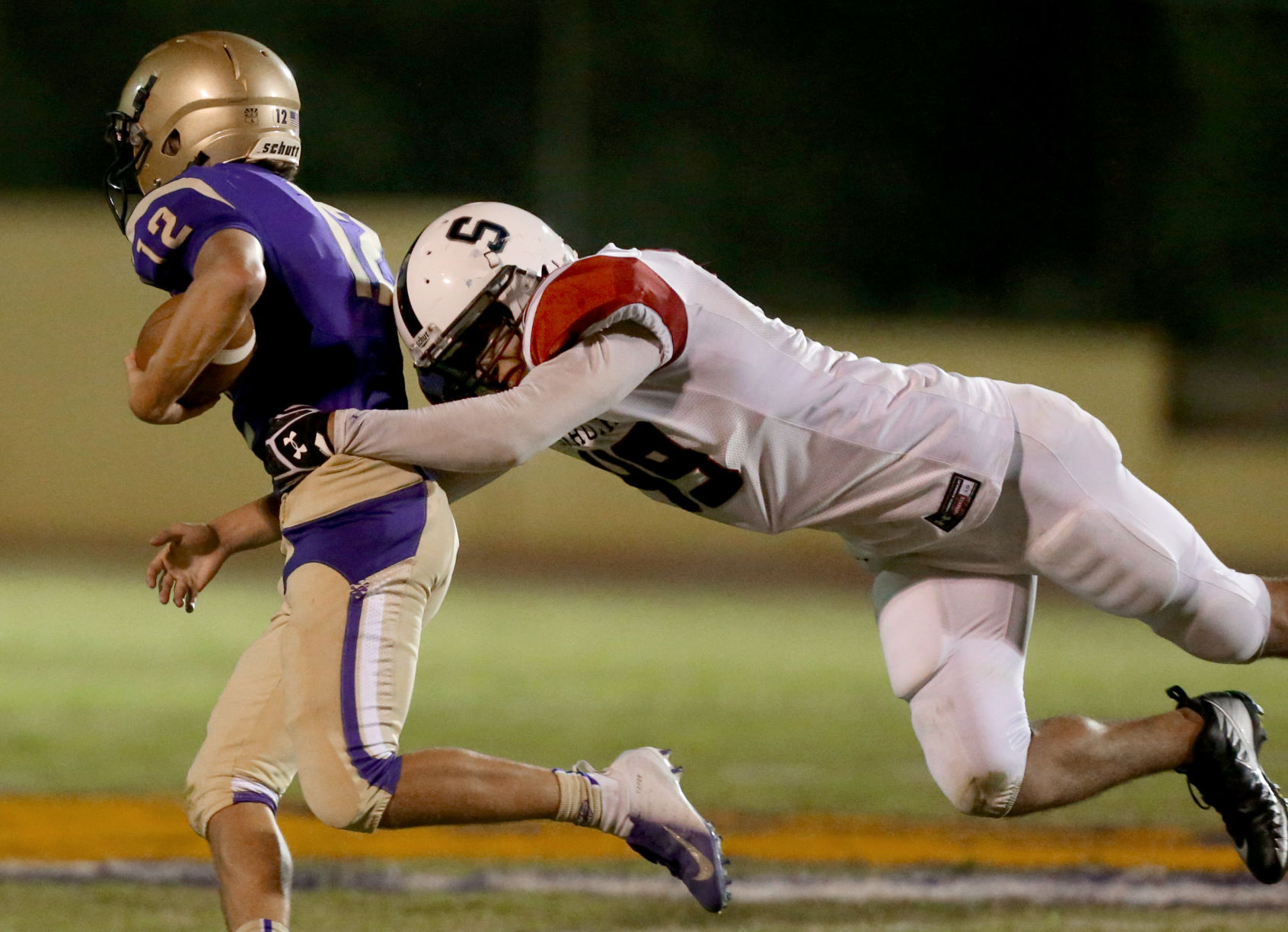 Sabino vs Sahuaro
